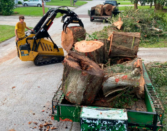Tree Removal service1