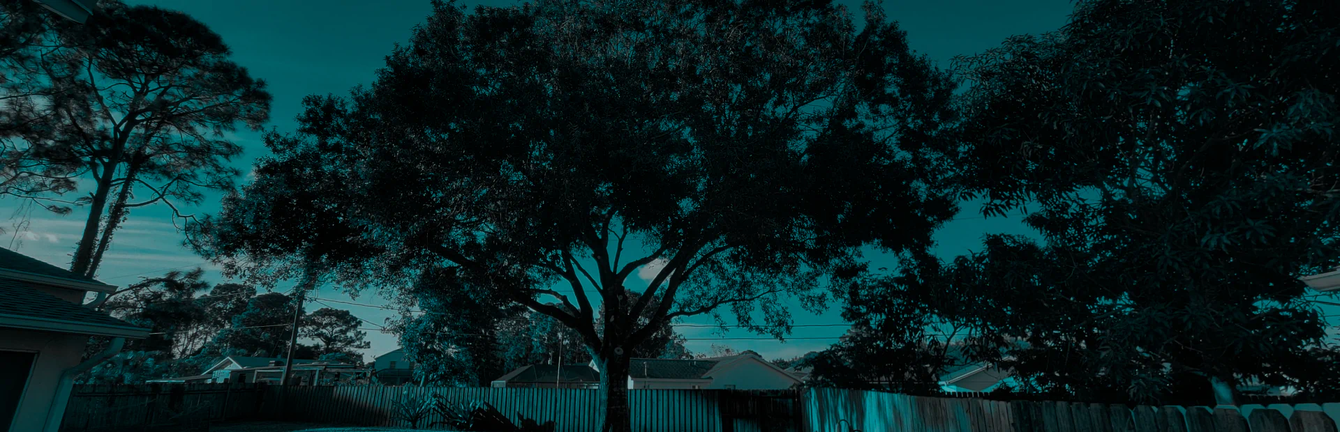 Tree Removal services breadcrumb